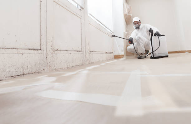 24/7 Emergency Mold Remediation experts in Marshall, TX
